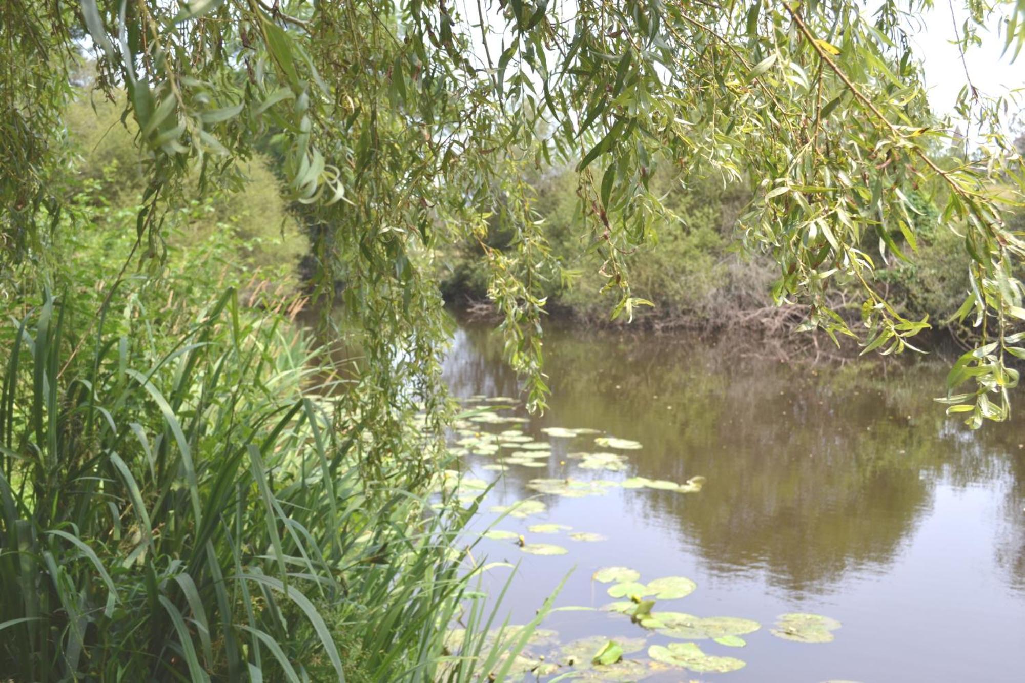 Les Bruyeres Gite Montbron Exterior photo